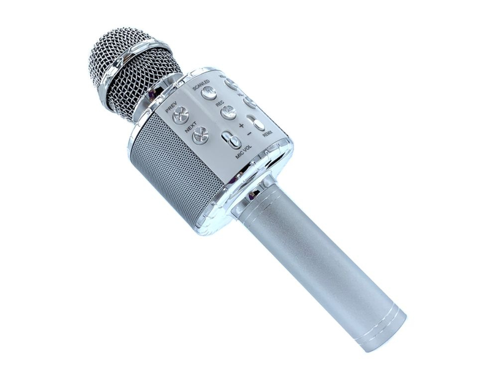Belaidis mikrofonas su bluetooth ir karaoke garsiakalbiu, 22 cm