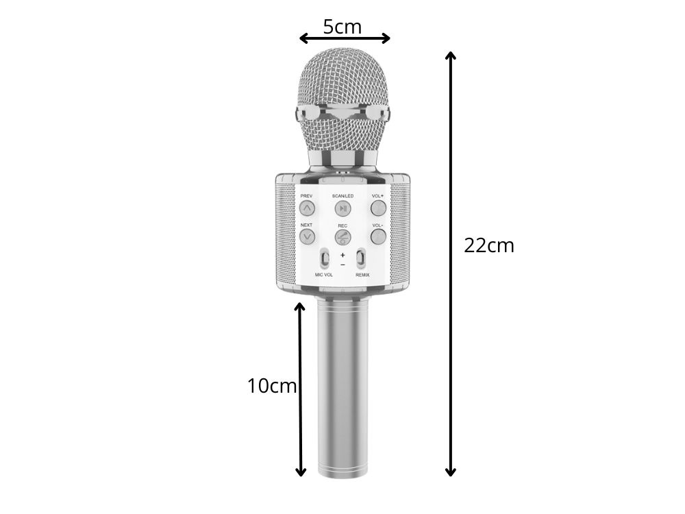 Belaidis mikrofonas su bluetooth ir karaoke garsiakalbiu, 22 cm
