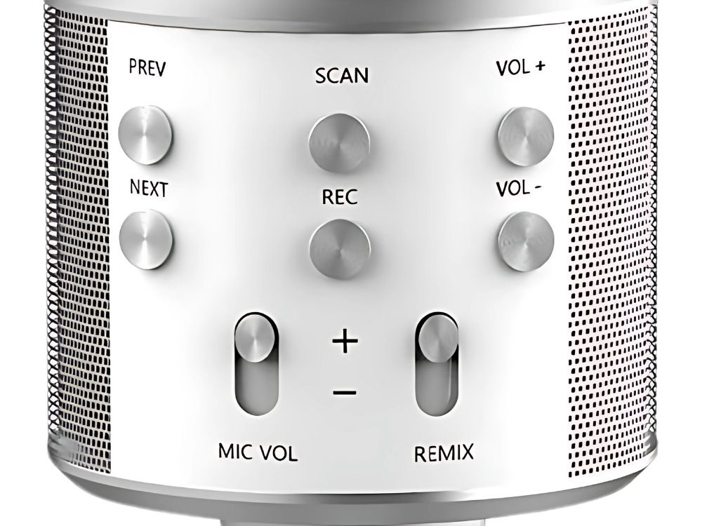 Belaidis mikrofonas su bluetooth ir karaoke garsiakalbiu, 22 cm