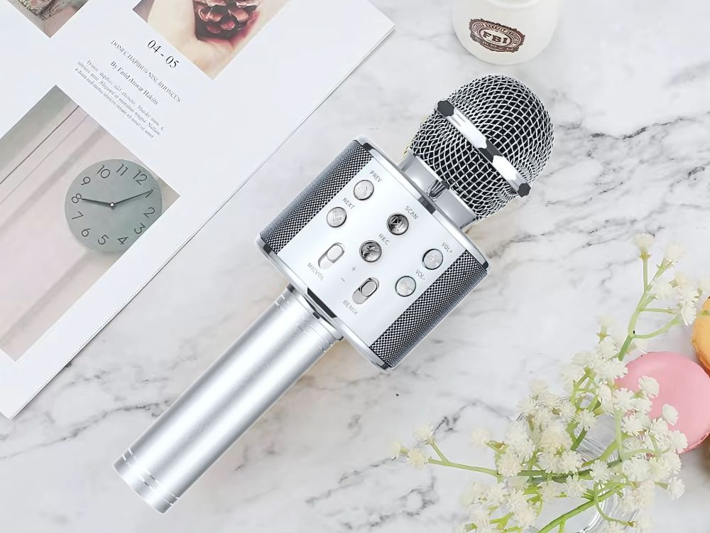 Belaidis mikrofonas su bluetooth ir karaoke garsiakalbiu, 22 cm