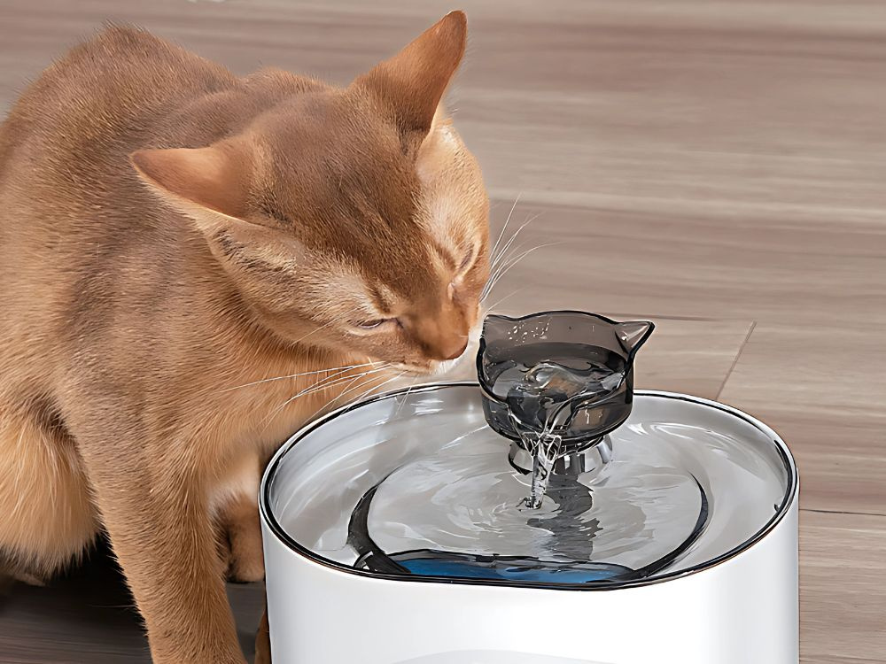 Automatinis dubenėlis su filtru, 2,2l