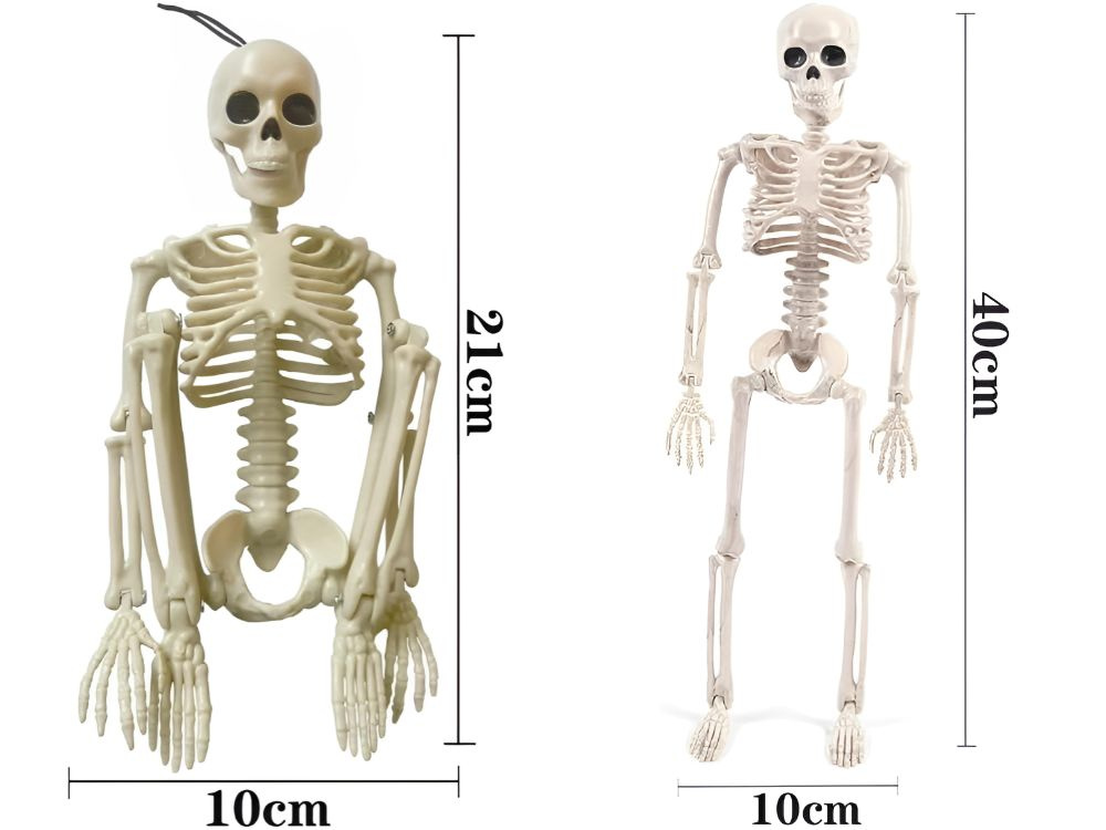 Žmogaus skeletas 40 cm dekoracija