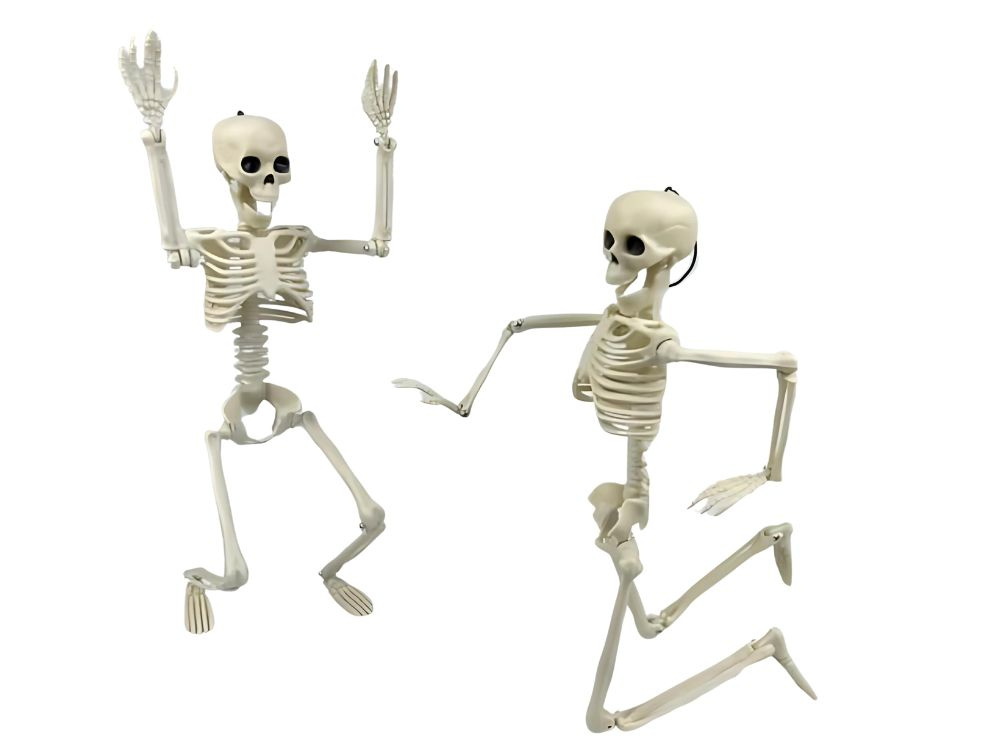 Žmogaus skeletas 40 cm dekoracija