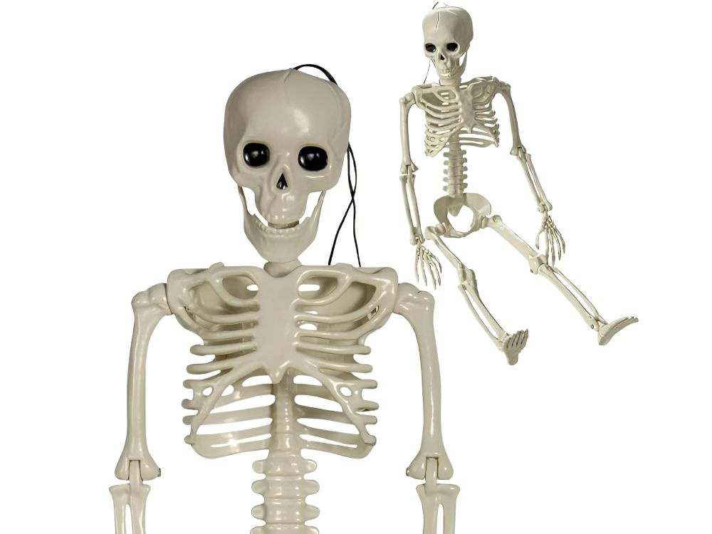Žmogaus skeletas 40 cm dekoracija