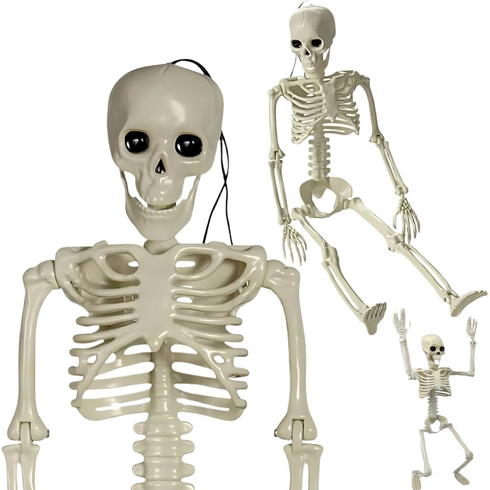 Žmogaus skeletas 40 cm dekoracija