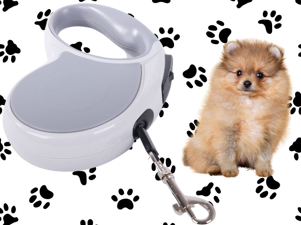 Automatinis pavadėlis šunims iki 15 kg, 5 m, pilkas