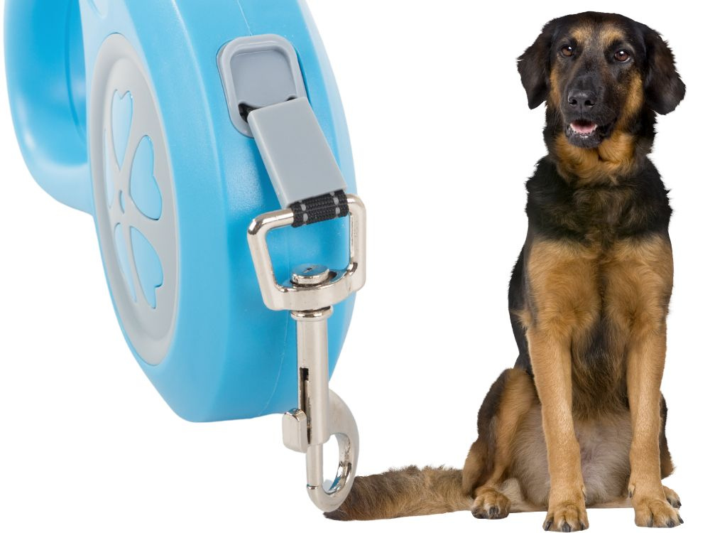 Automatinis pavadėlis šunims, 5m, 15kg