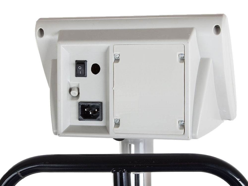 Elektroninės platforminės svarstyklės su atrama, 300 kg, 40x50 cm