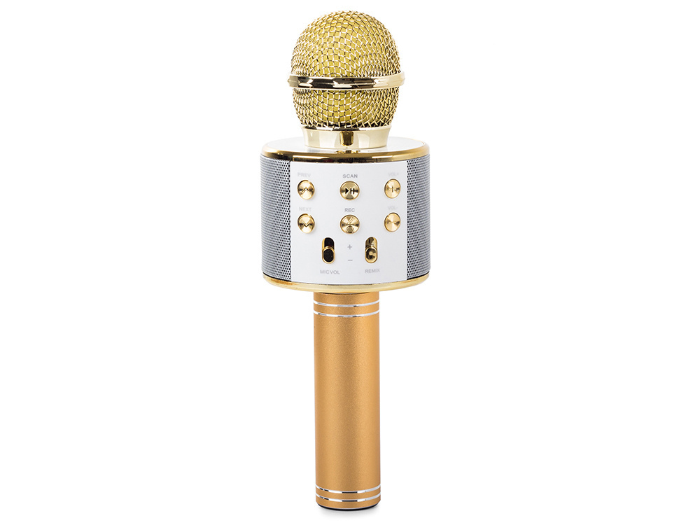 Belaidis mikrofonas su bluetooth, mp3 ir fm radiju
