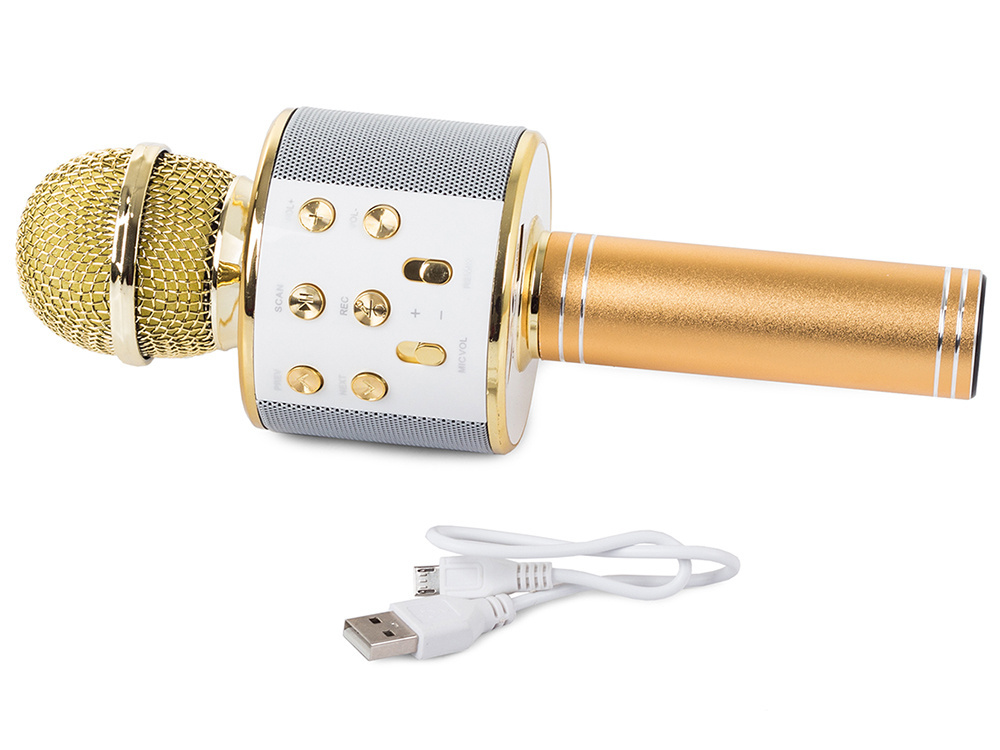 Belaidis mikrofonas su bluetooth, mp3 ir fm radiju