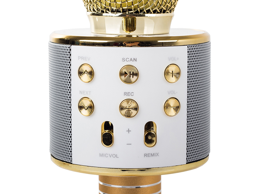 Belaidis mikrofonas su bluetooth ir karaoke garsiakalbiu bei dėklu, 22 cm, auksinis
