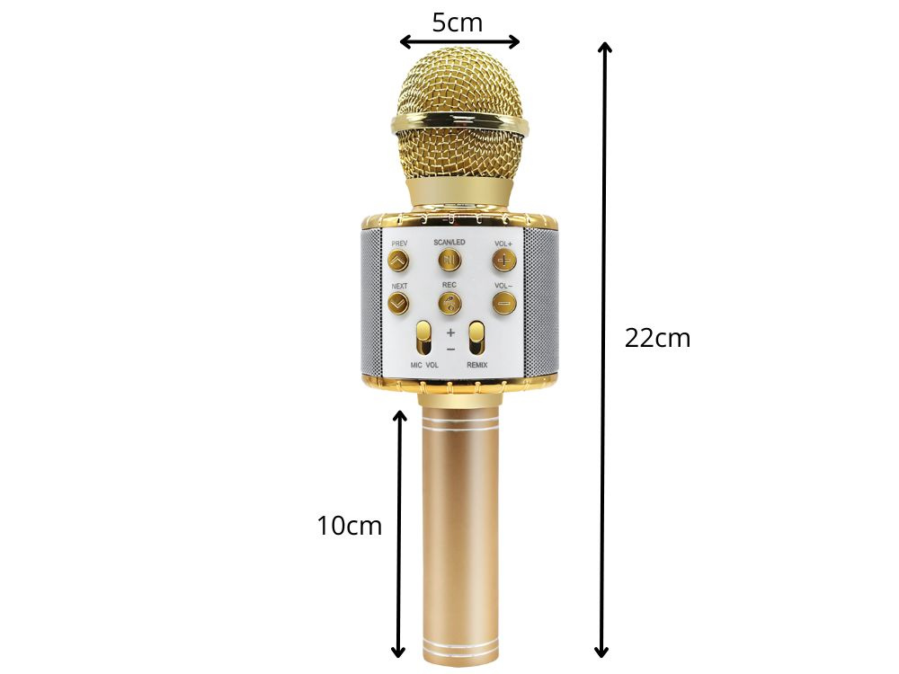 Belaidis mikrofonas su bluetooth ir karaoke garsiakalbiu bei dėklu, 22 cm, auksinis