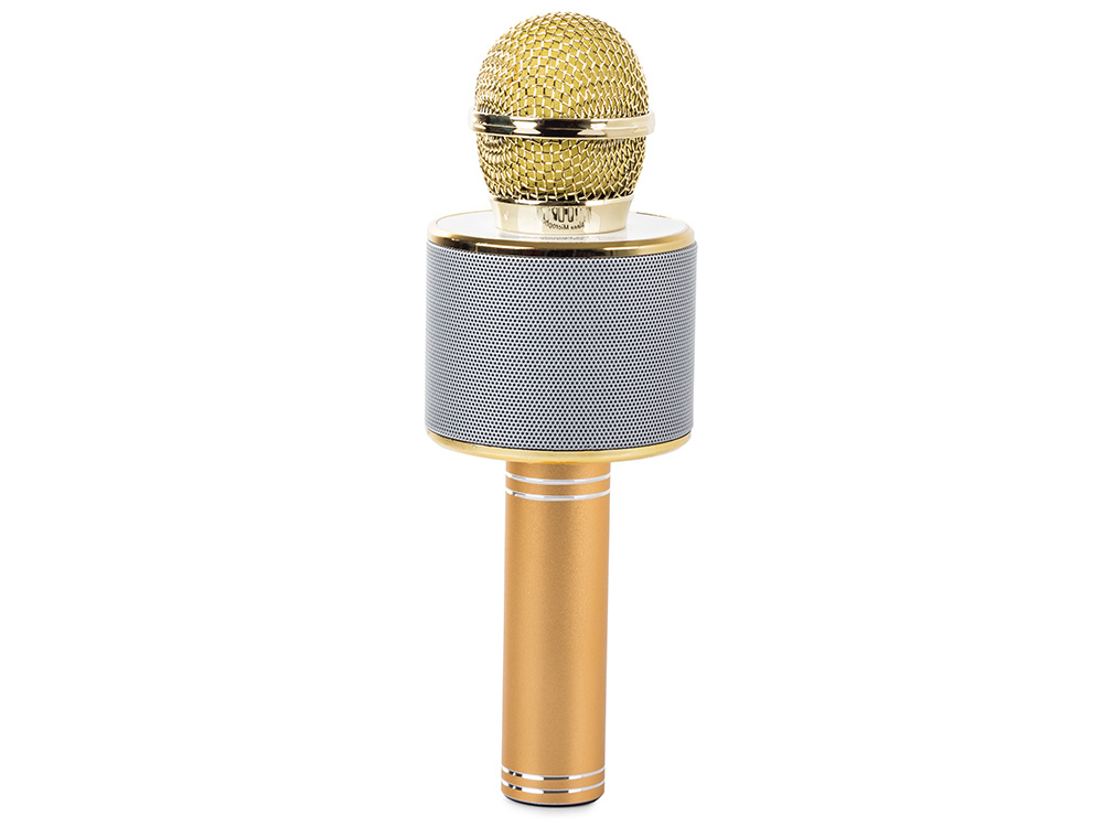 Belaidis mikrofonas su bluetooth ir karaoke garsiakalbiu bei dėklu, 22 cm, auksinis