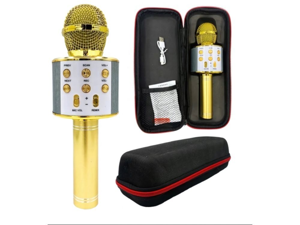 Belaidis mikrofonas su bluetooth ir karaoke garsiakalbiu bei dėklu, 22 cm, auksinis