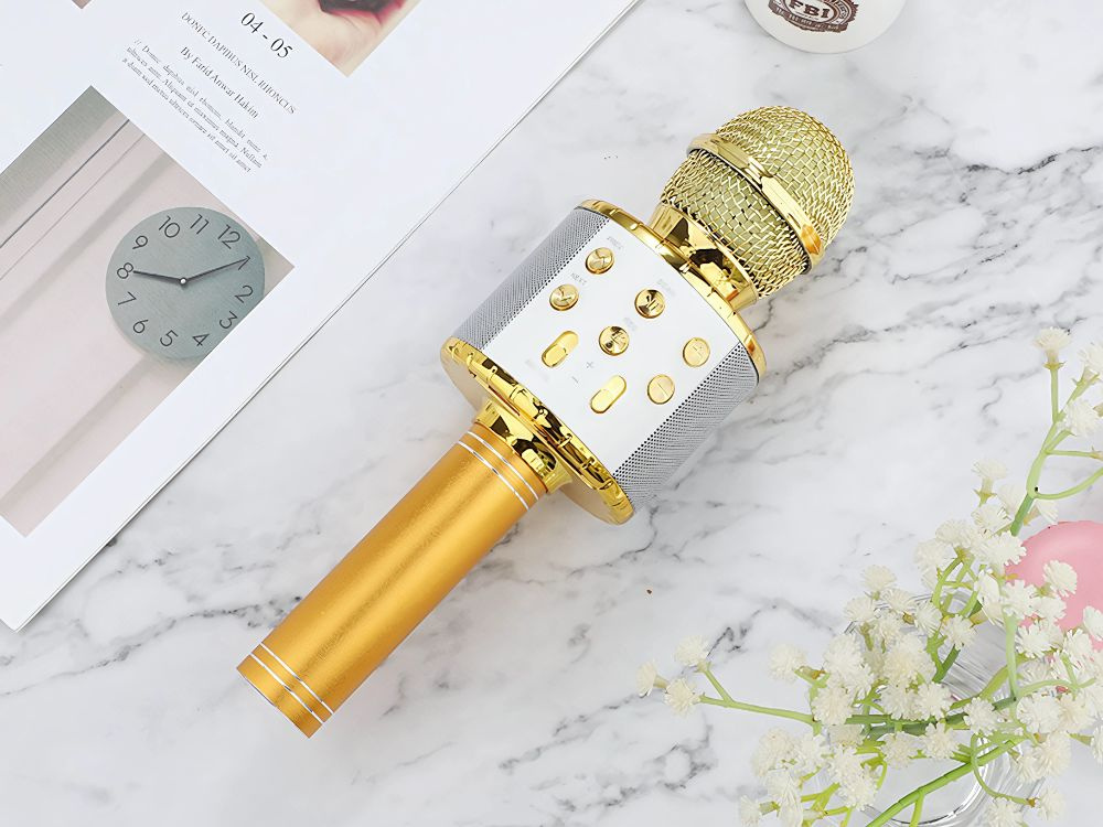 Belaidis mikrofonas su bluetooth ir karaoke garsiakalbiu bei dėklu, 22 cm, auksinis