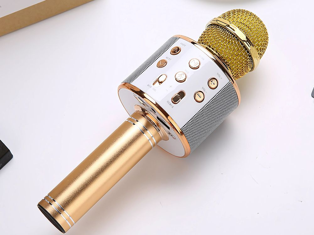 Belaidis mikrofonas su bluetooth ir karaoke garsiakalbiu bei dėklu, 22 cm, auksinis