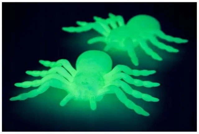 Fluorescenciniai helovino vorai, 11 cm, 2 vnt.