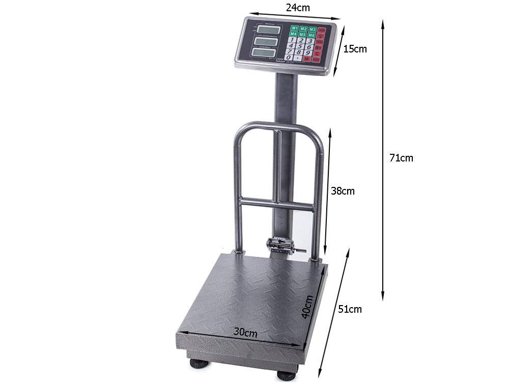 Elektroninės sandėlio svarstyklės su atlošu, 100 kg