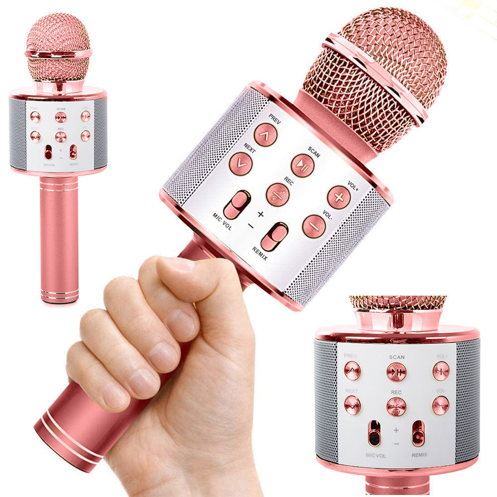 Belaidis mikrofonas-kolonėlė su bluetooth ir karaoke funkcija
