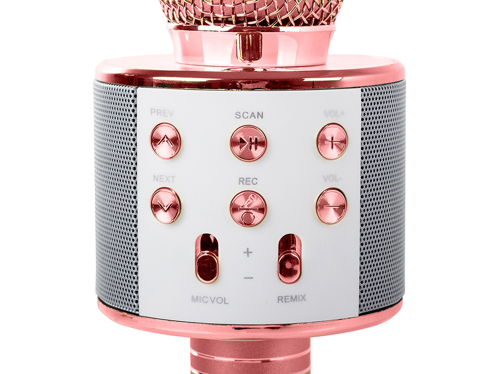 Belaidis mikrofonas-kolonėlė su bluetooth ir karaoke funkcija