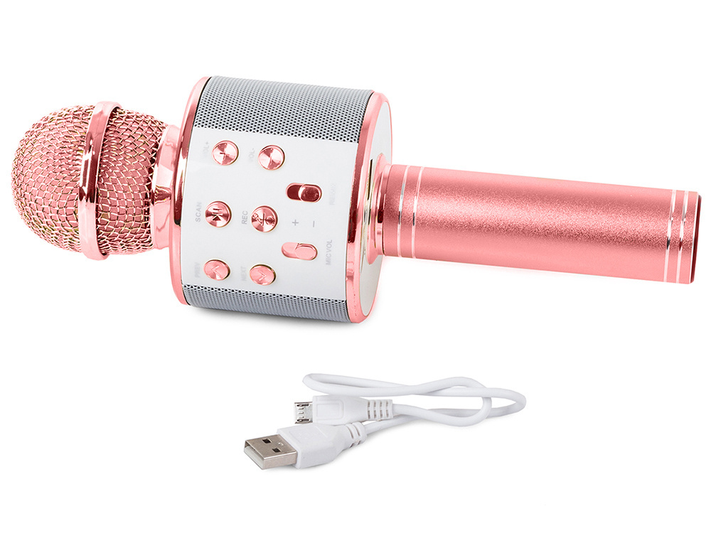 Belaidis mikrofonas-kolonėlė su bluetooth ir karaoke funkcija