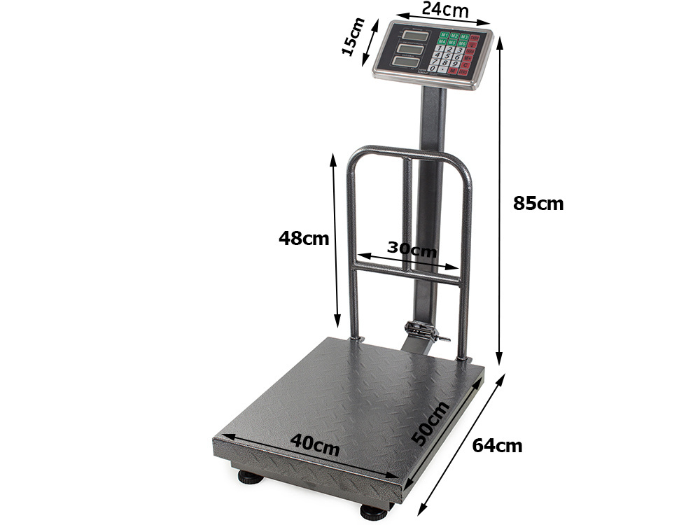 Elektroninės sandėlio svarstyklės su atrama, 300 kg, lcd ekranas
