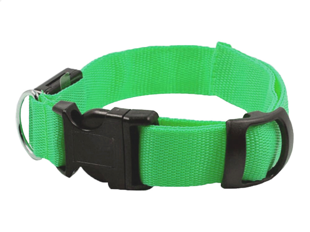 Šviečiantis led antkaklis šunims ir katėms, 59 cm, žalias 2