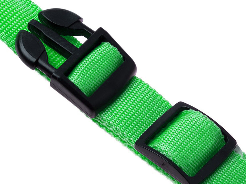 Šviečiantis led antkaklis šunims ir katėms, 59 cm, žalias 3