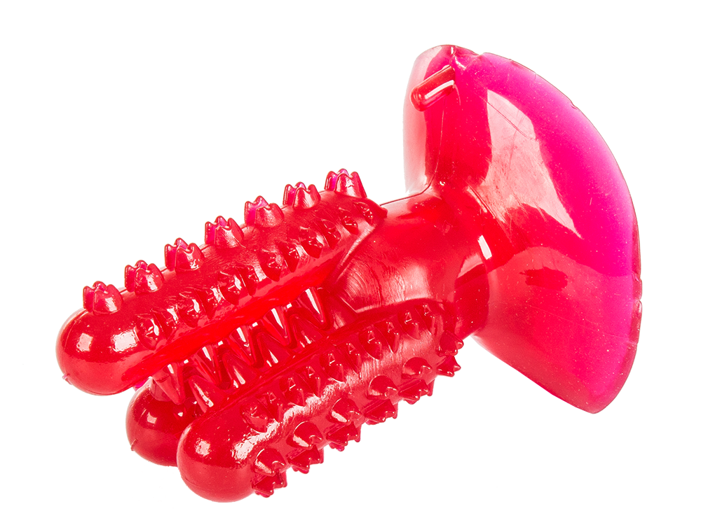 Šuns žaislas kaktusas dantų šepetėlis, 11,5 cm