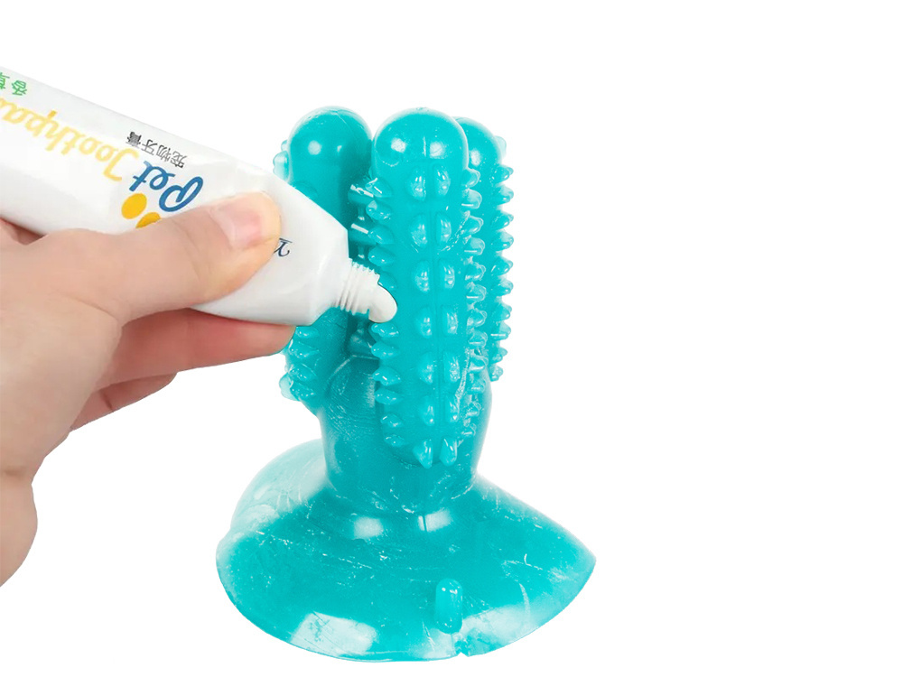 Šuns žaislas kaktusas dantų šepetėlis, 11,5 cm 1