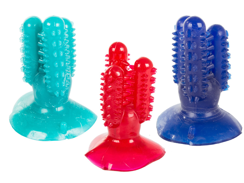 Šuns žaislas kaktusas dantų šepetėlis, 11,5 cm