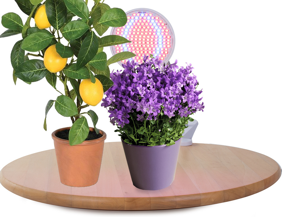 Led lempa augalams 20w