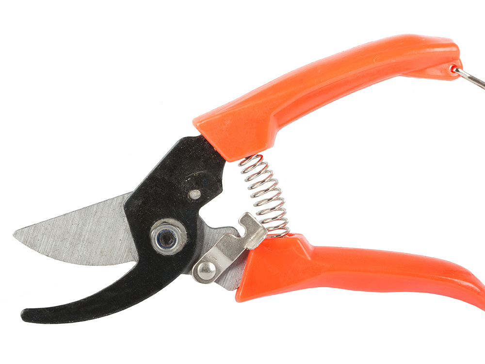Sodo sekatorius su ergonomiška rankena, 16,5 cm