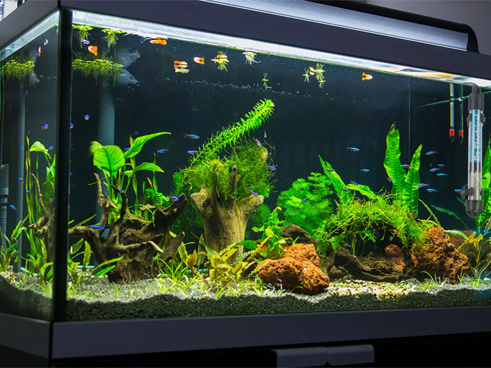 Akvariumo šildytuvas 50w su termostatu