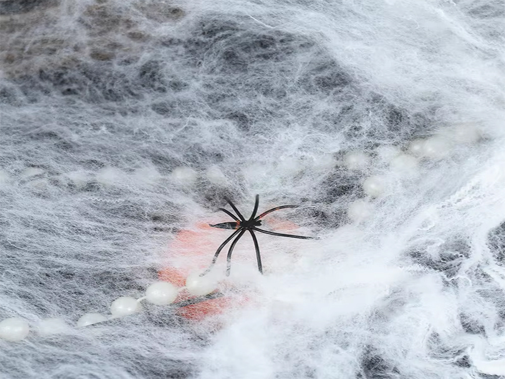 Dekoratyvinis voratinklis su vorais helovinui