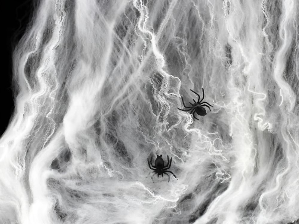 Dekoratyvinis voratinklis su vorais helovinui