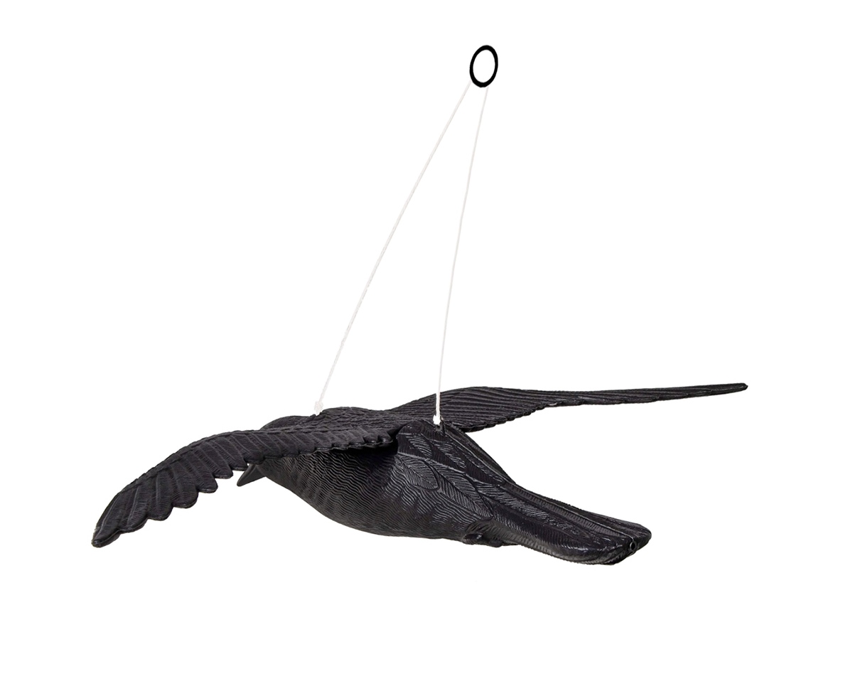 Paukščių baidyklė 57 cm 2