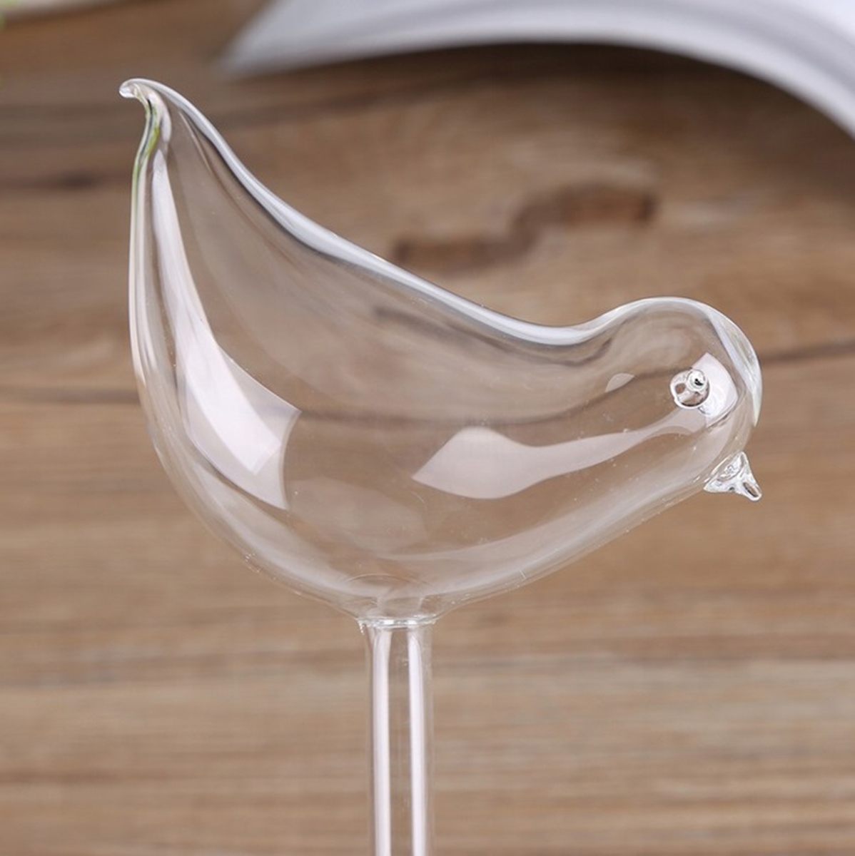 Plastikinis augalų laistytuvas da224, 80 ml