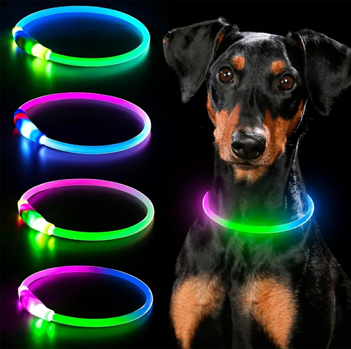 Led antkaklis šunims, reguliuojamas, rgb
