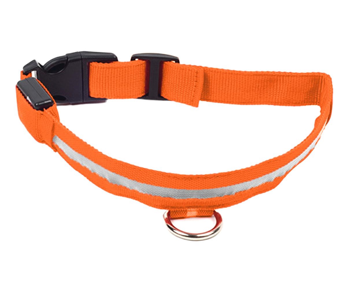Šviečiantis led antkaklis šunims, reguliuojamas, oranžinis, 43-48 cm