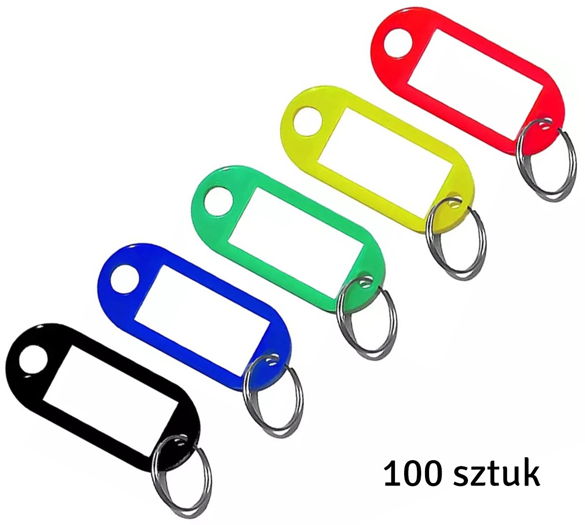 Raktų pakabukai su identifikatoriumi, 100 vnt., įvairių spalvų