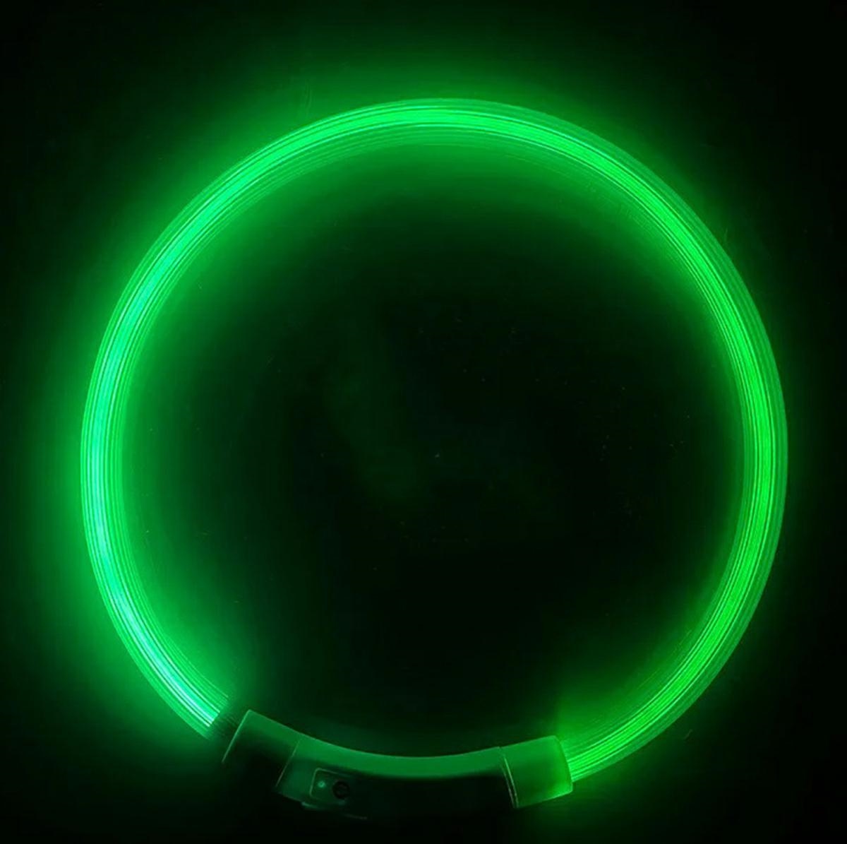 Šviečiantis led antkaklis, žalias, reguliuojamas
