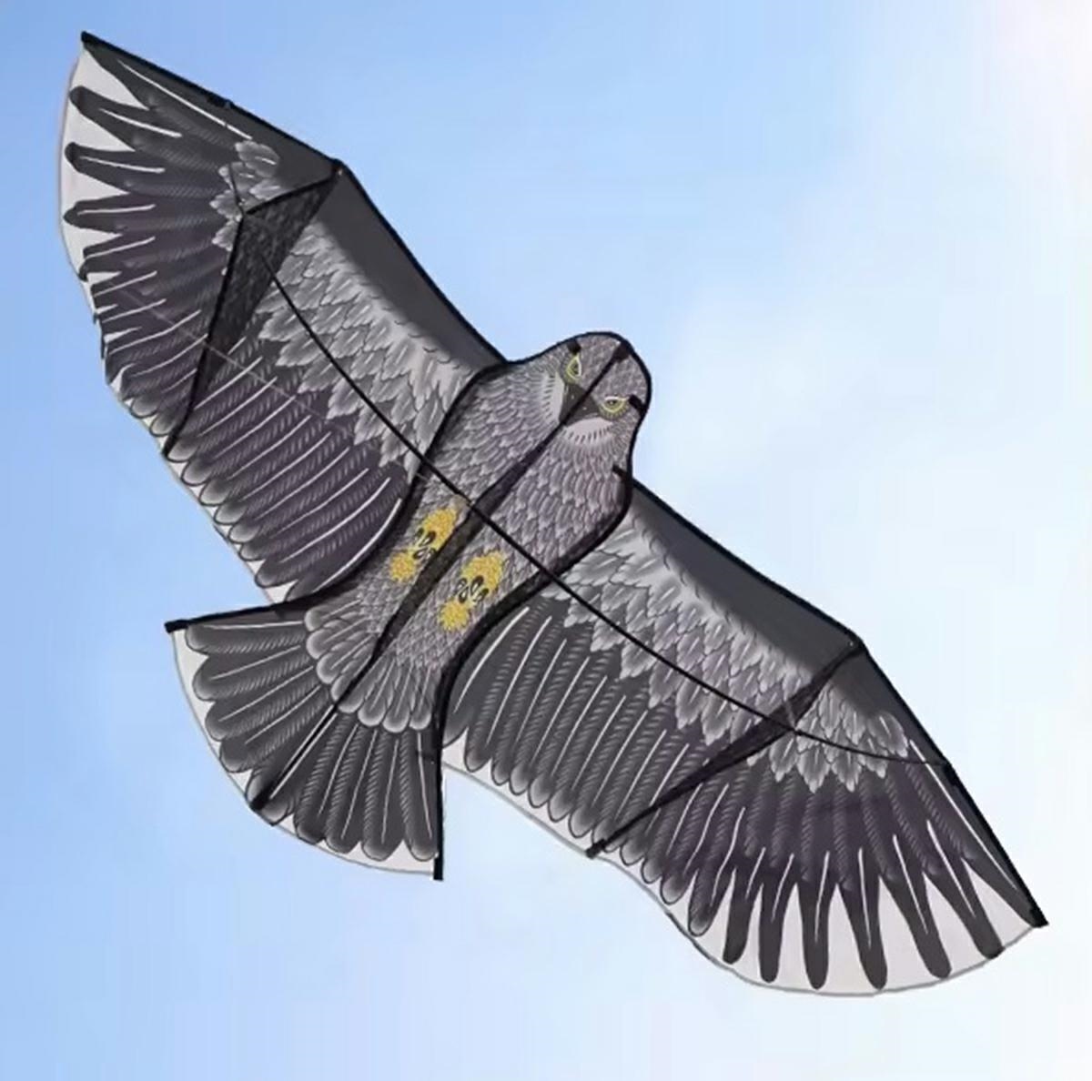Aitvaras erelis 200 cm