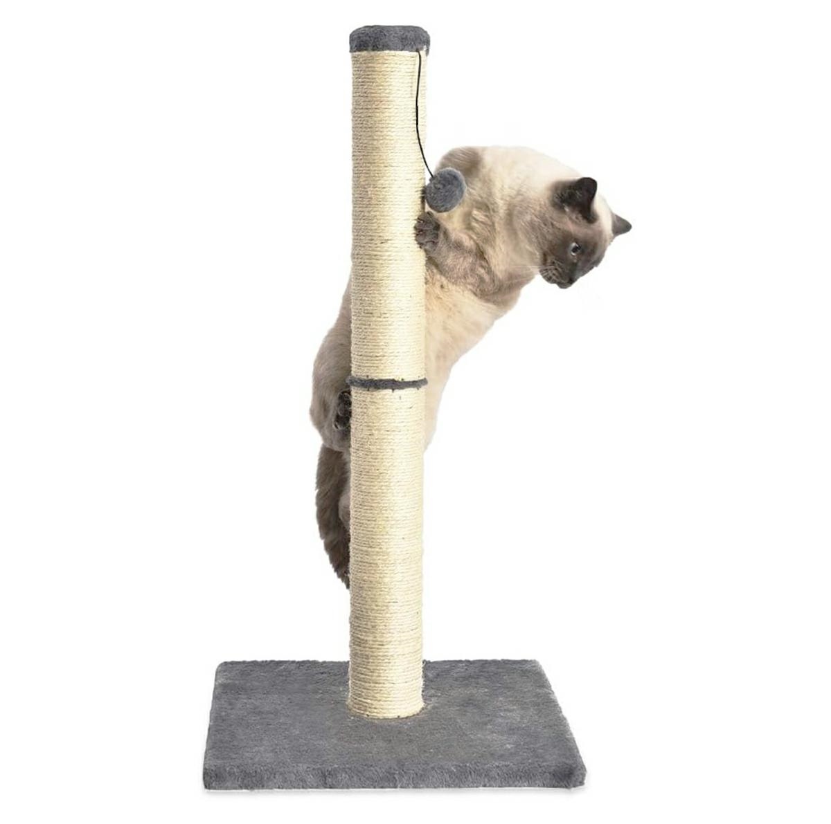 Katės draskyklė su žaislu, 100 cm