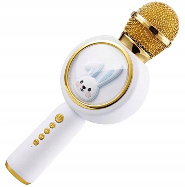 Belaidis karaoke zuikis mikrofonas, bluetooth garsiakalbis