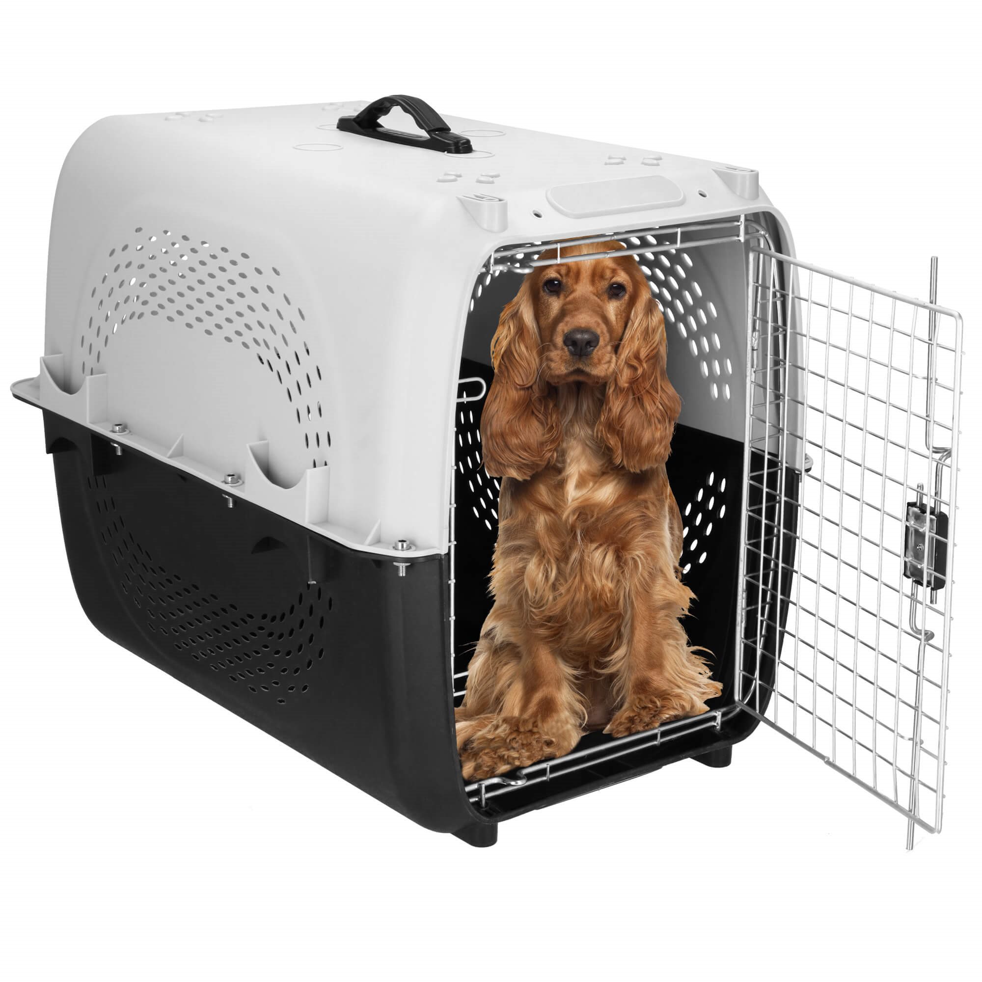 Transportavimo narvas springos pa0328 iki 20 kg 69x47x55 cm