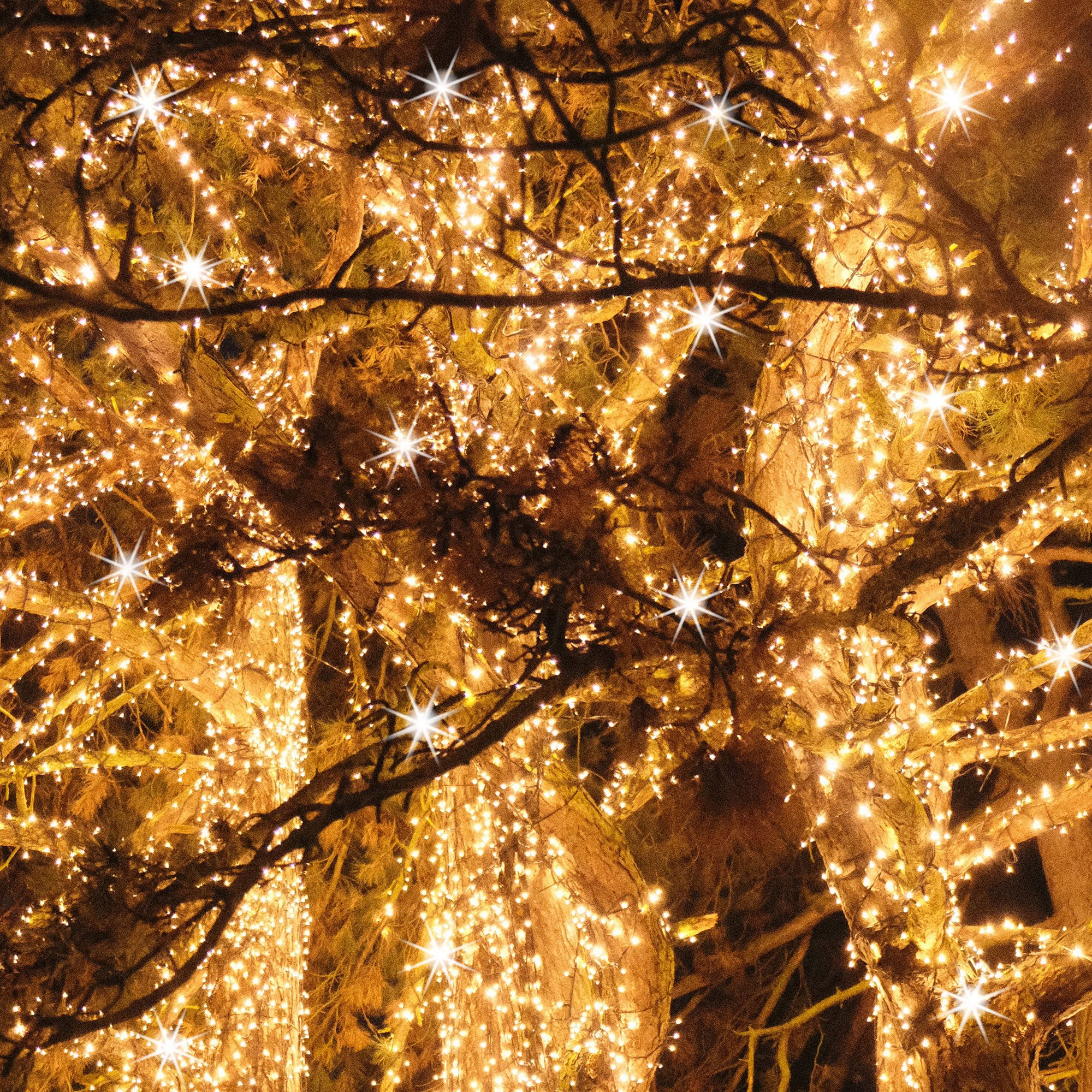 Kalėdinės lemputės springos 300 led, 17,5 m
