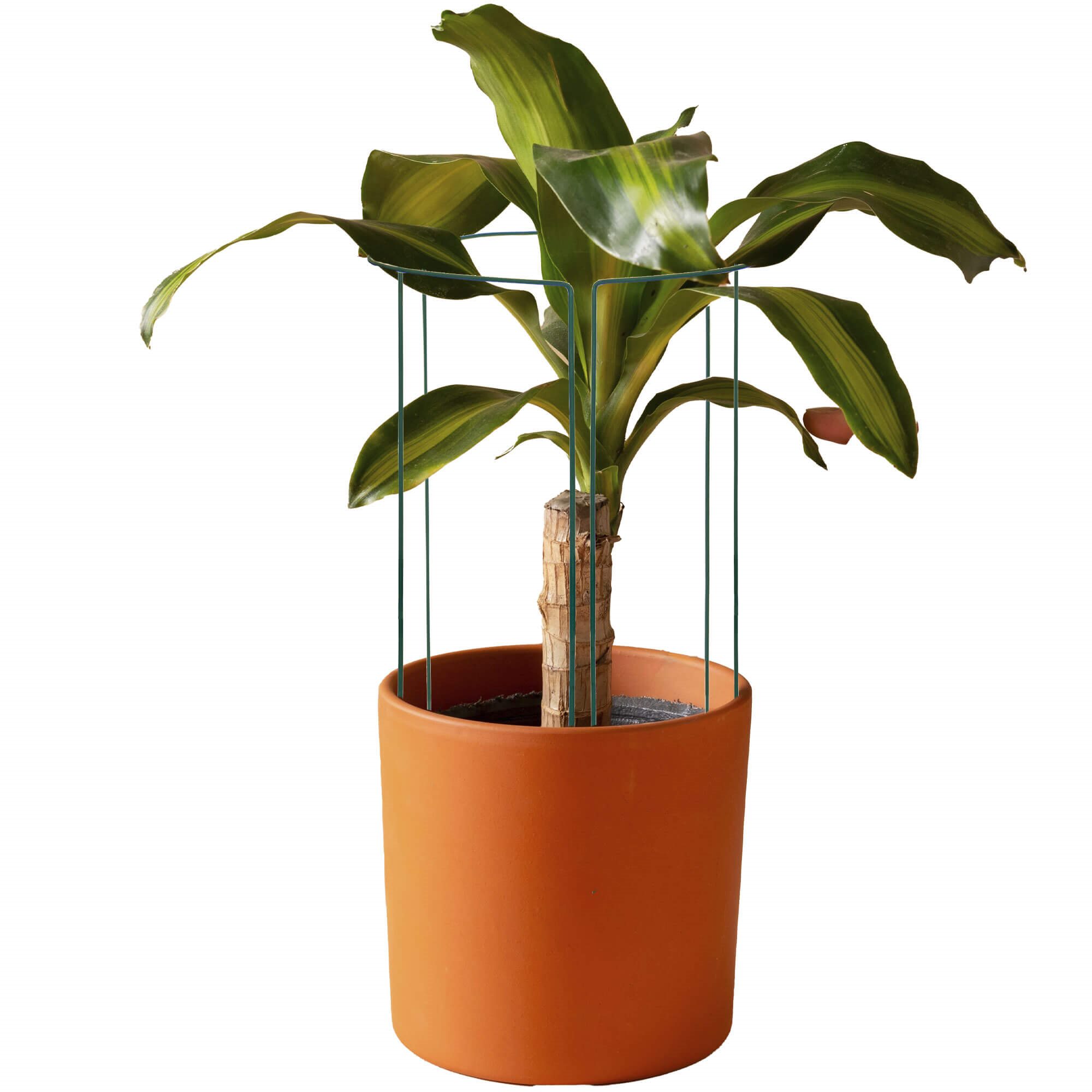 Metalinė gėlių atrama springos 100 cm, 3 dalių