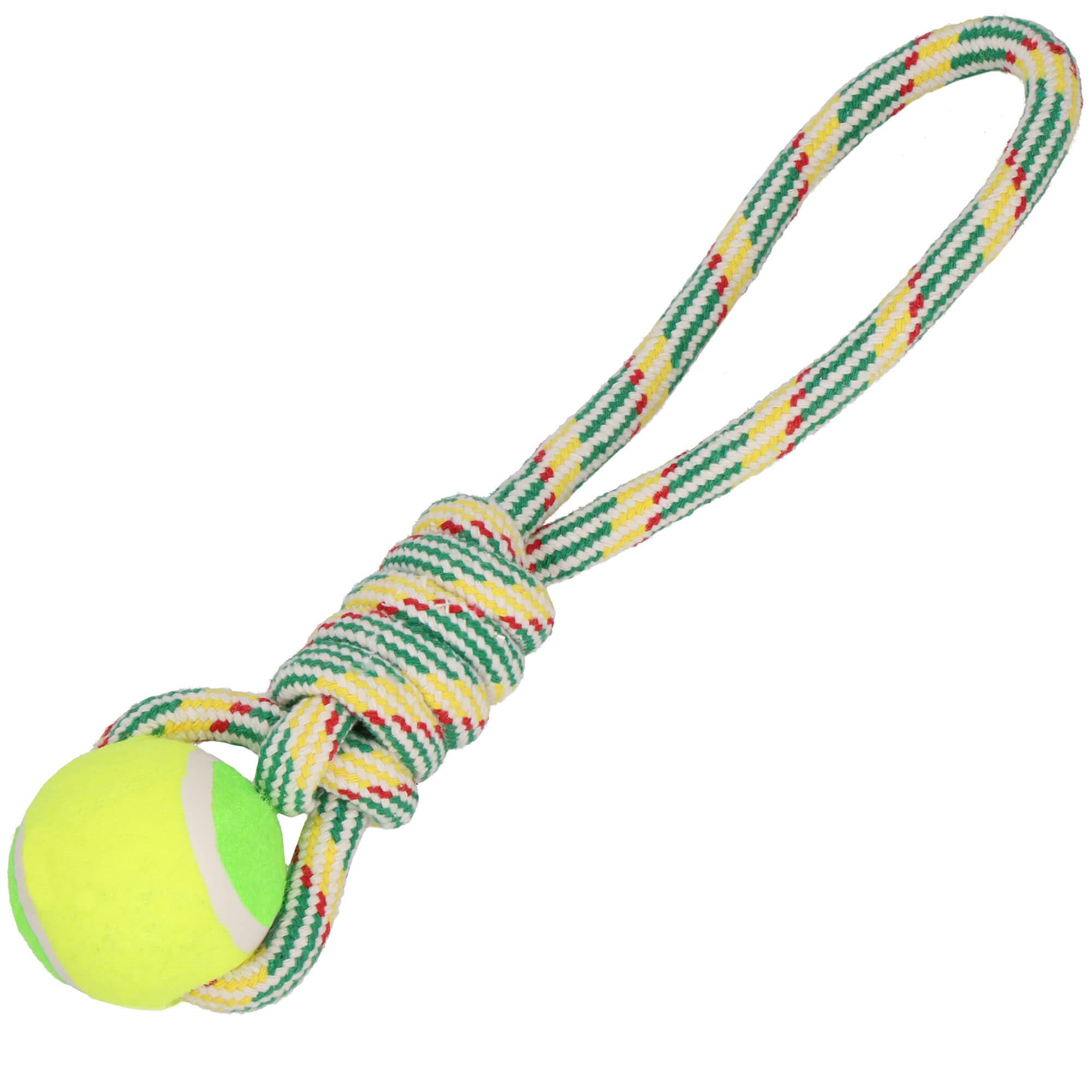Šuns žaislas springos pa0276, 35 cm
