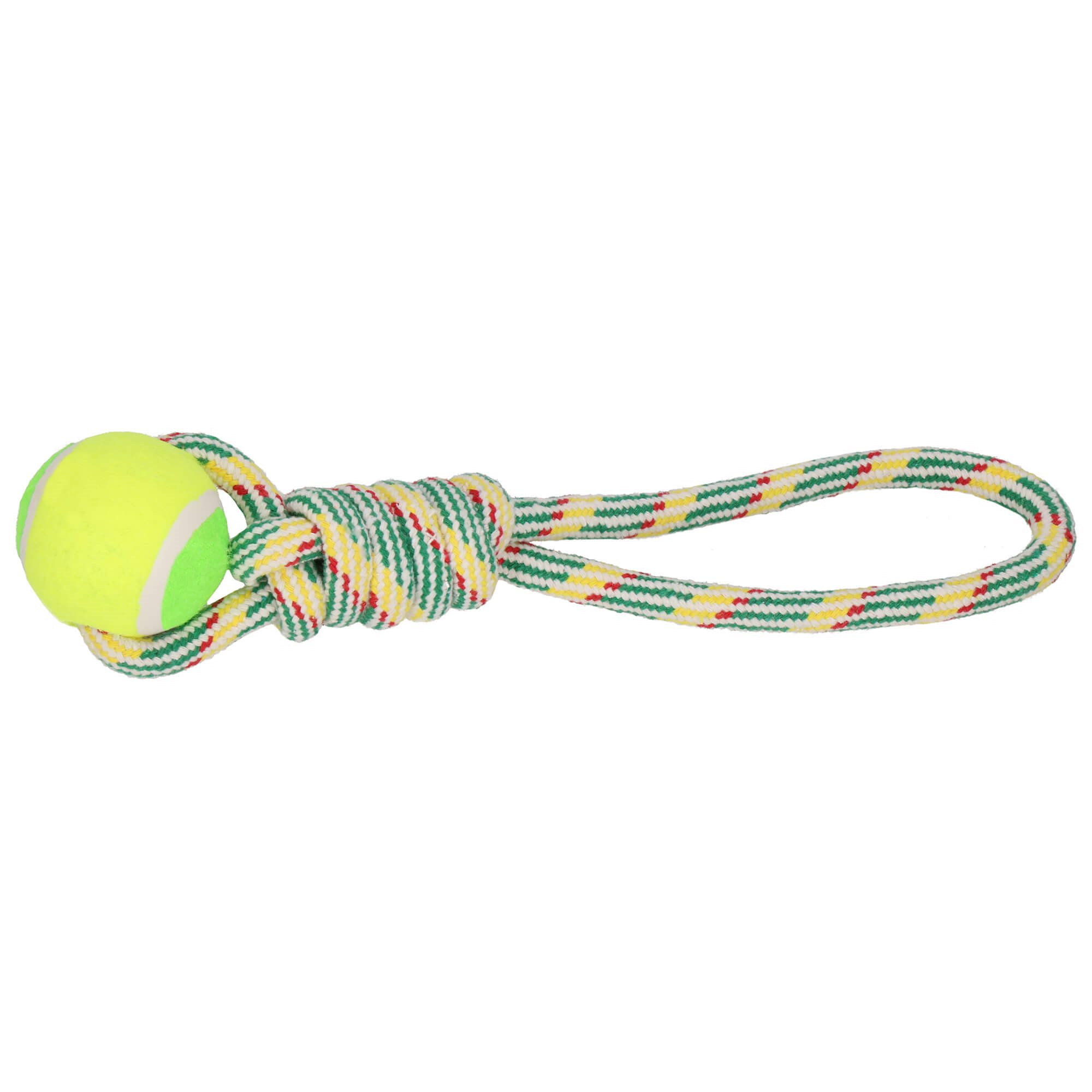 Šuns žaislas springos pa0276, 35 cm